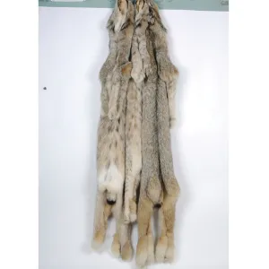 Dressed Canada Lynx Skin