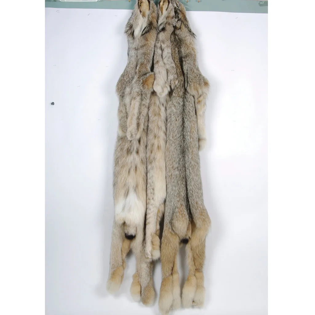 Dressed Canada Lynx Skin